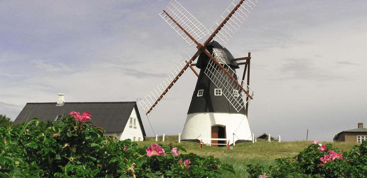 Mandø Mühle | Süddänische Nordsee